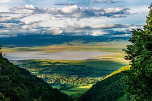Ngorongoro