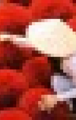 Misterele Indochinei