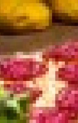 Pizza, pasta e gelato 