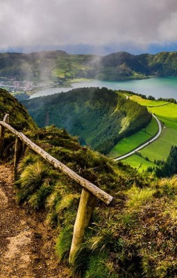 Magie in nuante de verde