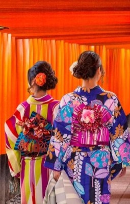 Temple, gheise si ciresi infloriti