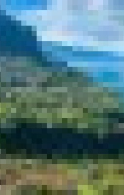 Insula eternei primaveri