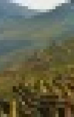 Relaxare in stil lusitan 